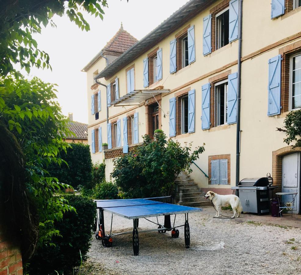 Domaine De Menerque - Petit Chateau Avec Piscine Lisle-sur-Tarn Exterior foto